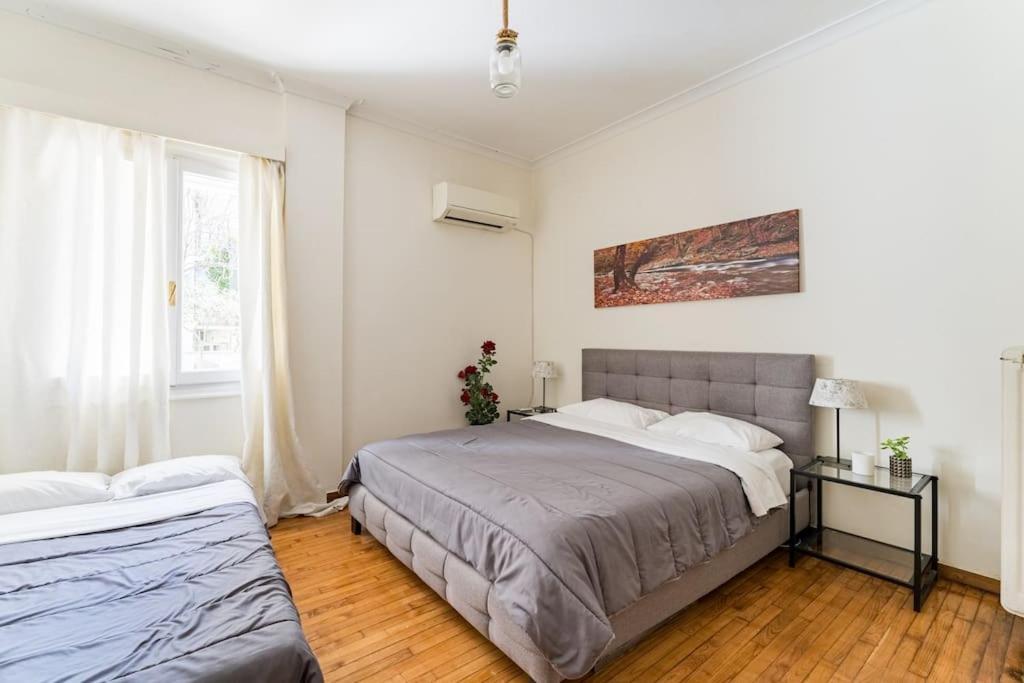 Amazing 3Bdr Apt With Unique Roof Garden In Plaka Athen Exterior foto