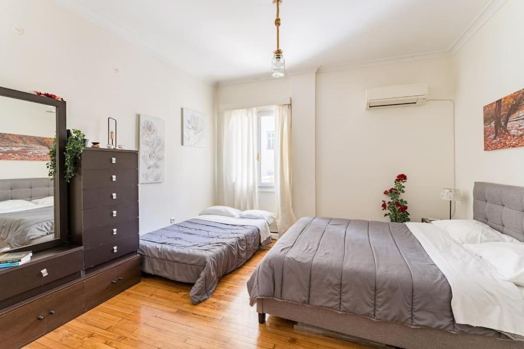 Amazing 3Bdr Apt With Unique Roof Garden In Plaka Athen Exterior foto