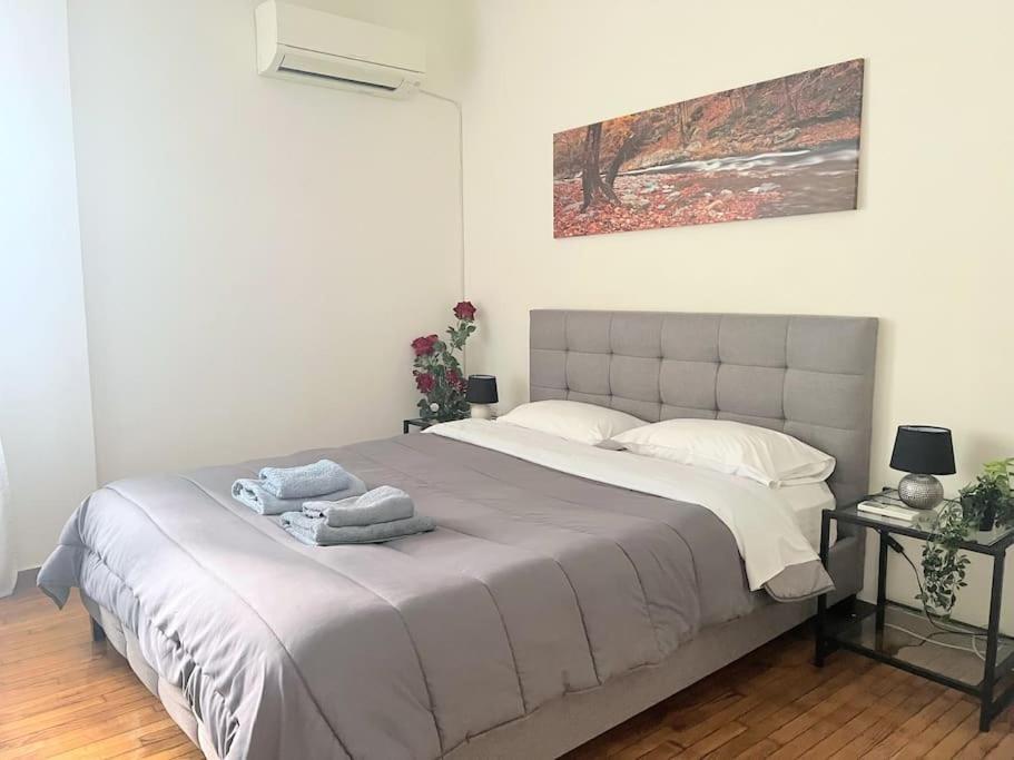Amazing 3Bdr Apt With Unique Roof Garden In Plaka Athen Exterior foto