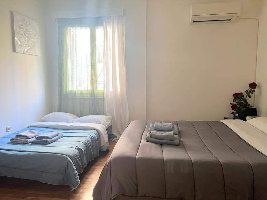 Amazing 3Bdr Apt With Unique Roof Garden In Plaka Athen Exterior foto