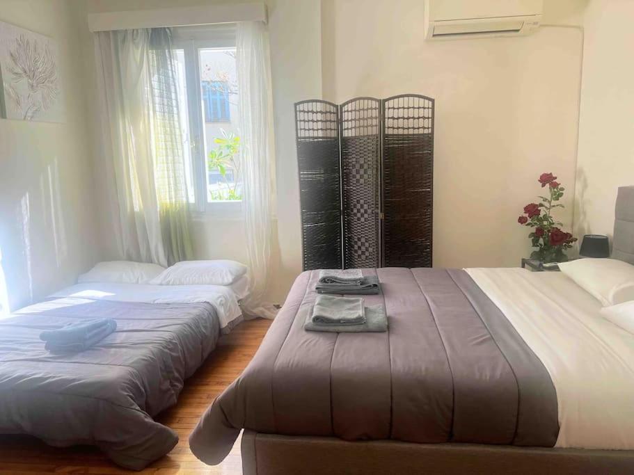 Amazing 3Bdr Apt With Unique Roof Garden In Plaka Athen Exterior foto